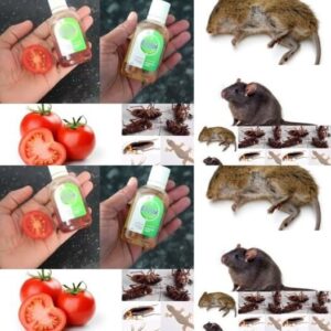 Natural Pest Control Remedies