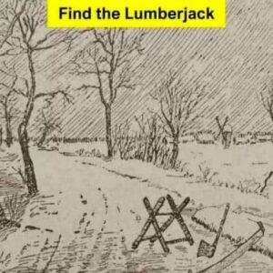 Optical Illusion Challenge”: Find Lumberjack in 6 Seconds!