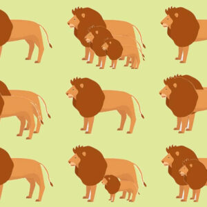 Count the number of lions you see.