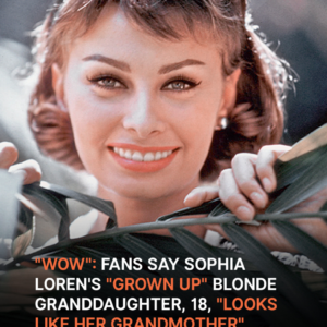 ‘Wow!’: Users Stunned After Seeing Sophia Loren’s Granddaughter, 18, Who ‘Looks Like Her Grandmother