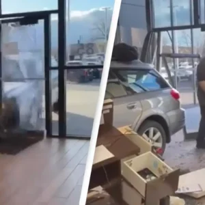 A Man’s Fury: He crashes his brand-new car into the dealership after being denied a refund.