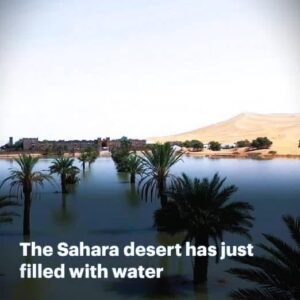 Sahara Desert Struck By Flood, Filling Lakes That Have Been Dry for 50 Years