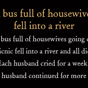 A bus full of housewives fell into a river