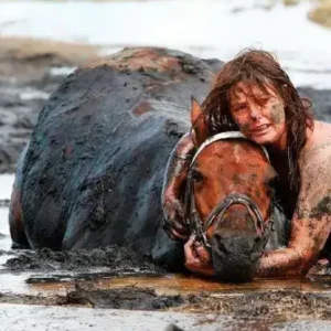 Horse weighting 900 lb gets stuck in mud – Owner clings to him for three hours