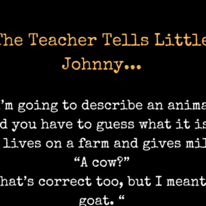 The Teacher Tells Little Johnny…