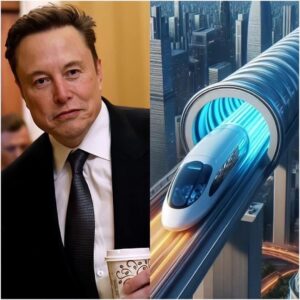 Elon Mᴜsk claims he can build a  billion tunnel that will take people from NYC to London in 54 minutes