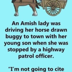 Amish Buggy