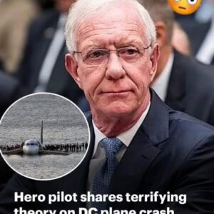 A Renowned Pilot Speaks Out on Deadly Collision