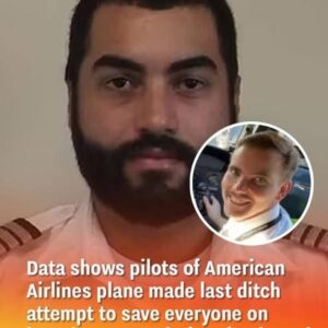 Data Indicates That The Pilots Of The American Airlines Plane Tried One Last Time To Save Everyone