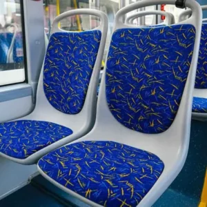 Who Would You Give Your Seat to on the Bus? Your Answer Reveals Personality Insights