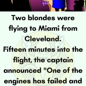 Two blondes were flying