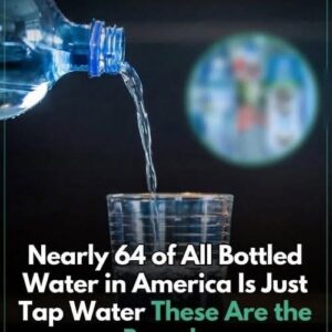 Study Shows Nearly 64% of Bottled Water in America is Just Tap Water: Here’s the Brands