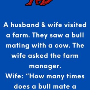The Powerful Bull The Powerful Bull