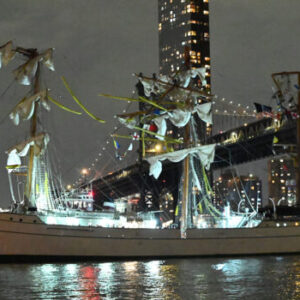 Initial report reveals cause of deadly Brooklyn Bridge crash Initial report reveals cause of deadly Brooklyn Bridge crash
