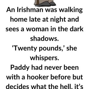 Video: An Irishman was walking home late at night
