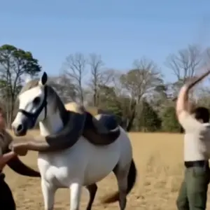 A Life on the Line: Brazilian Mare Saved from Anaconda in Daring Rescue A Life on the Line: Brazilian Mare Saved from Anaconda in Daring Rescue