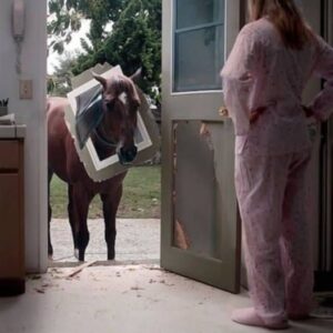 Hooves in the Kitchen: The Night Everything Shattered Hooves in the Kitchen: The Night Everything Shattered