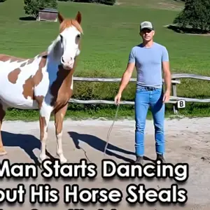 VIDEO) Man Begins Dancing, but His Horse Takes Center Stage VIDEO) Man Begins Dancing, but His Horse Takes Center Stage