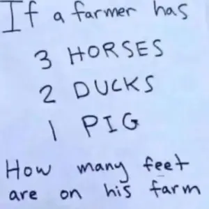 Can You Count the Feet on the Farm? Can You Count the Feet on the Farm?