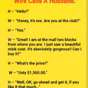 Video: A Wife Asks Her Husband To Spend A Lot Of Money