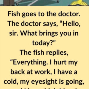 Video: Fish goes to the doctor