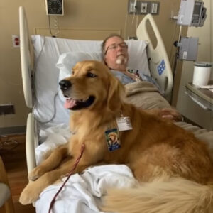 He Finally Spoke—When the Therapy Dog Leapt on His Bed