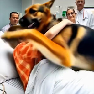 Just before the operation, the boy hugged his dog, but the dog suddenly leapt off the bed and lu.ng.ed at a doctor, leaving everyone sh0cked when the reason for its odd behavior became clear.