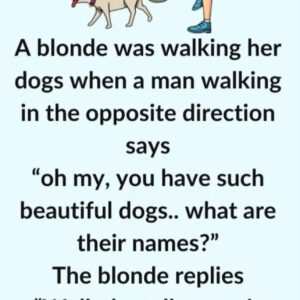 Video: A blonde was walking her dogs Video: A blonde was walking her dogs