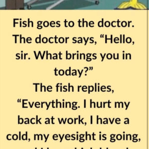 Video: Fish goes to the doctor