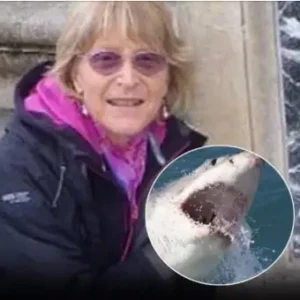 New South Wales: Woman Lost to the Waves