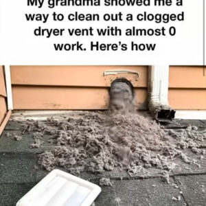 Grandma’s Simple Hack for Cleaning a Clogged Dryer Vent