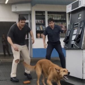 “At a gas station, an employee’s pants were ripped by a barking stray dog — everyone assumed chaos until they spotted something hiding in the darkness.” “At a gas station, an employee’s pants were ripped by a barking stray dog — everyone assumed chaos until they spotted something hiding in the darkness.”