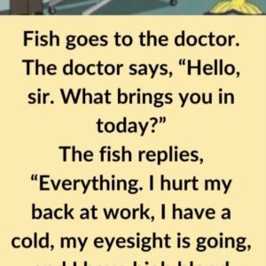 Video: Fish goes to the doctor Video: Fish goes to the doctor