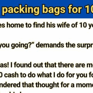 Video: Funny Moments in Life