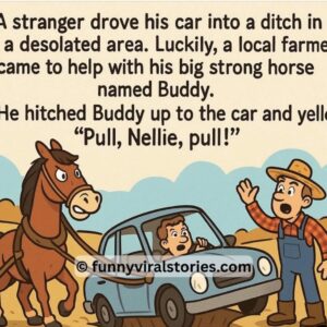 Video: A stranger drove his car into a ditch