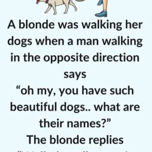 Video: A blonde was walking her dogs