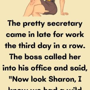 The pretty secretary came in late for work