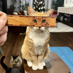 17 Mind-Bending Optical Illusions You Won’t Believe Exist