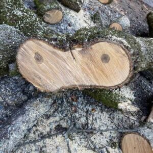 Random Pics That Are Worth Looking At