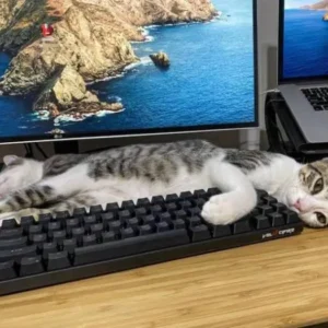 28 Normal Photos That Need a Second Look