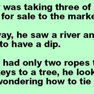 A Farmer Was Taking Three Of His Donkeys.