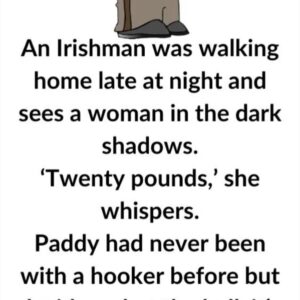 Video: An Irishman was walking home late at night