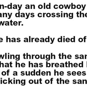 A Wise Old Farmer Buys a New Truck