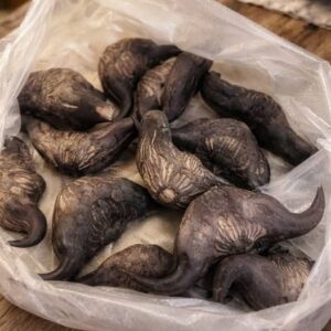 Don’t Eat Wild Roots Until You Know These 5 Key Facts