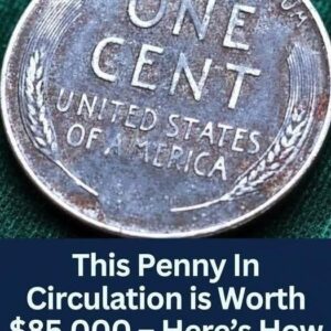 Rare Penny Worth Fortune