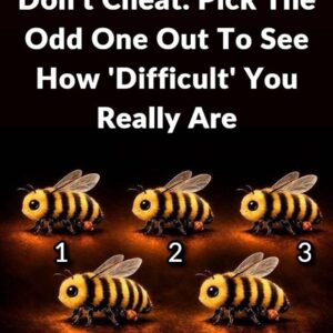 What Your Choice in This Image Might Say About Your Personality