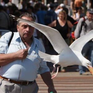 15 Events Caught On Camera At The Perfect Time