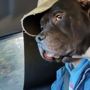 Illusions People Captured On Their Cameras