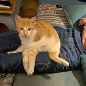 What Do You See? These 15 Confusing Photos Will Challenge Your Brain