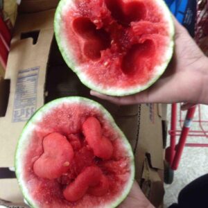 17 Pics Showing Mother Nature’s Funny Side